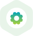 Optimized icon